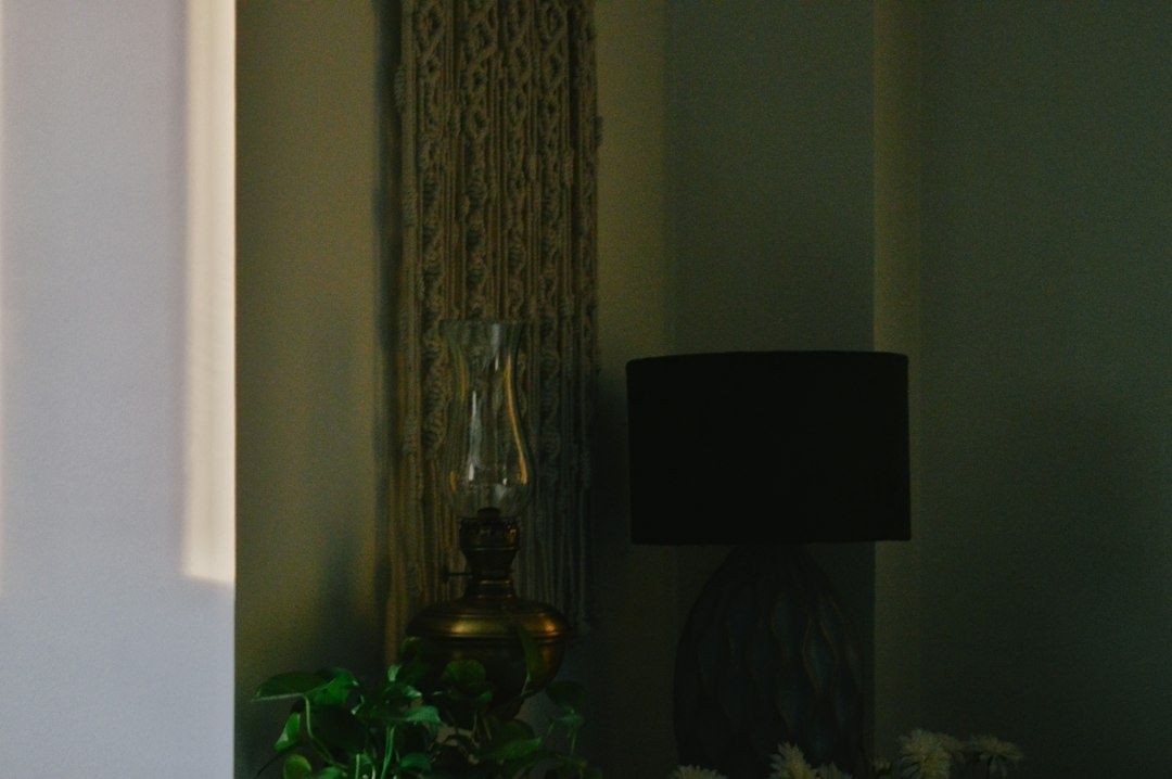 Mörkt hörn med bordslampa, växt och dekorativ vas